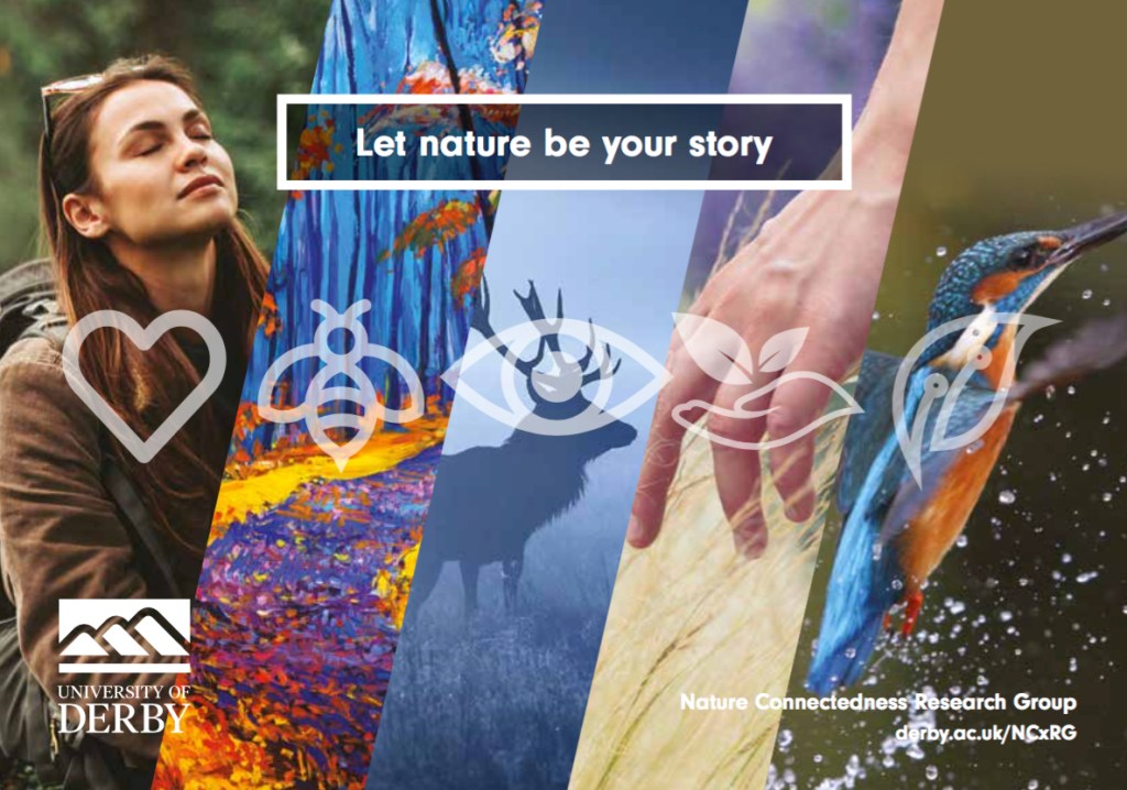 five pathways to nature connectedness Derby University