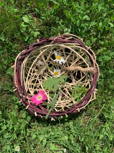 wild weaving of a foraged bowl containing foraged gifts of promises
