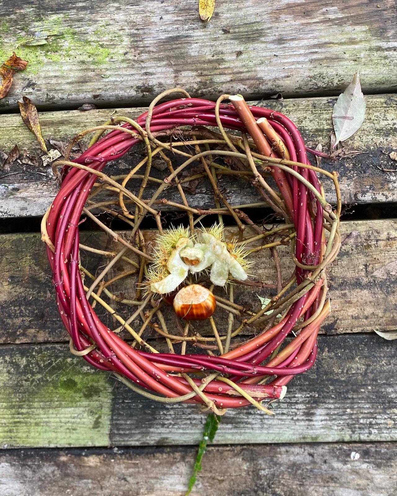 wild weaving of a bowl using red dogwood containing chestnuts