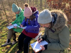 people outside sitting on a bench in the countryside drawing