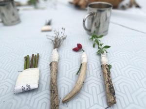 brushes made from foraged plants flowers leaves
